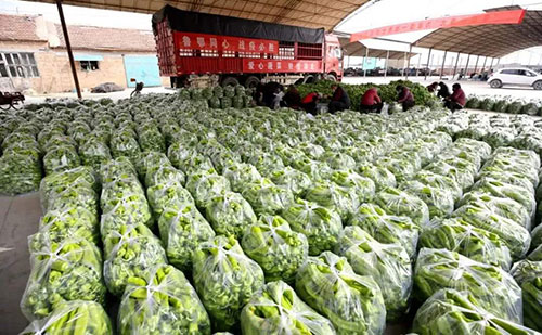 我是湖南長沙蔬菜批發市場，買多少錢的農藥殘留檢測儀合適？