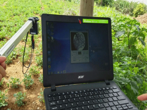 植物冠層圖像分析儀可以測量什么？