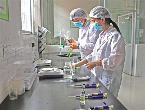 食品安全檢測儀，食品快檢行業的必備儀器
