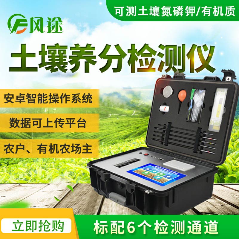 大棚移栽定植，要做好土壤養分的補充